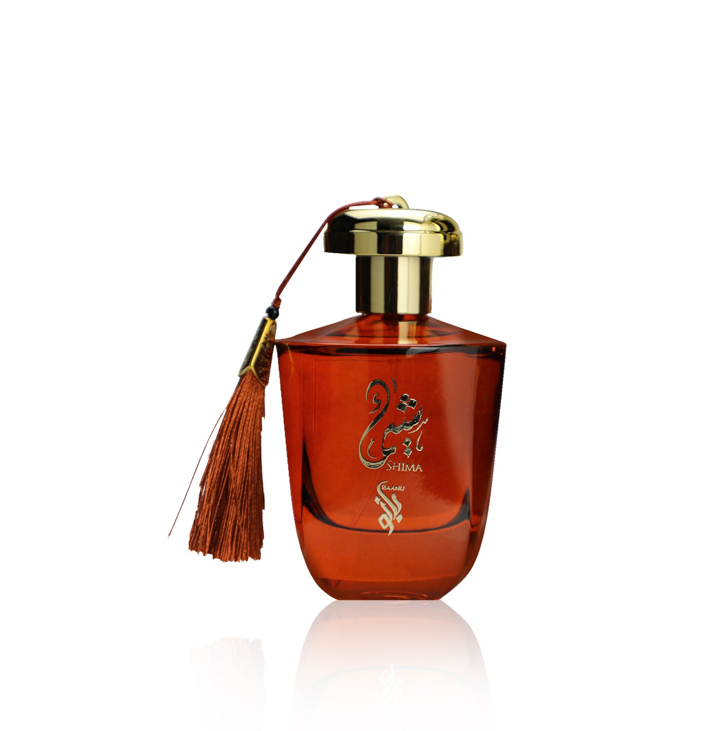 SHIMA EDP 100ML